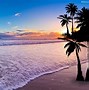 Image result for Palm Tree Computer Background