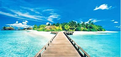 Image result for Sunny Beaches Wallpaper