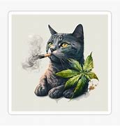 Image result for Cat Weed Cartoom