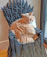 Image result for Throne Cat Sitting Next