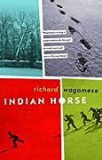 Image result for Indian Horse Race