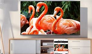 Image result for TCL 50 Inch Smart TV