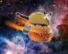 Image result for Galaxy Cat Animated