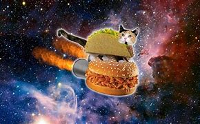 Image result for Galaxy Cat Drawing