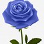 Image result for Blue Rose Vector