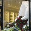 Image result for Floral Window Display Ideas