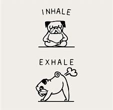 Image result for Inhale Exhale Meme
