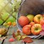 Image result for Fall Apple Background