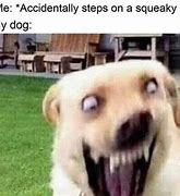 Image result for Dog Memes 101