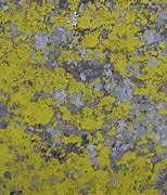 Image result for Grunge Stone Texture