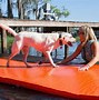 Image result for Walk On Water Mat