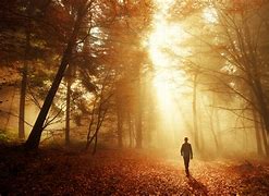 Image result for Person Walking towards Light