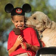 Image result for Disney Up Dog