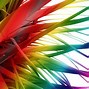 Image result for Rainbow Color Splash