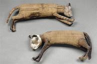 Image result for Egyptian Cat Mummy