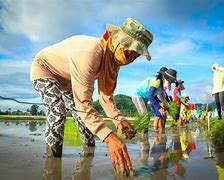 Image result for Filipino Agriculture