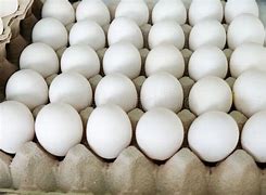 Image result for 1 Tray of Egg