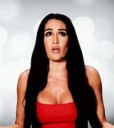 Image result for WWE Nikki Bella Hair