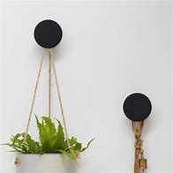 Image result for Round Wall Hooks