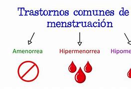 Image result for hipermenorrea