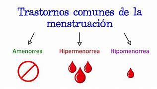 Image result for hupermenorrea