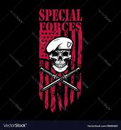 Image result for Special Forces Skull Logo