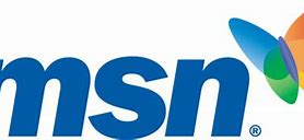 Image result for MSN Old Logo