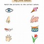 Image result for 5 Senses Worksheet 1st Grade