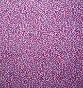 Image result for Pink Cheetah Print That Says Barb