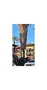 Image result for 1549 Gateway Blvd.%2C Fairfield%2C CA 94533 United States