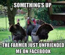 Image result for Memes About Thanksgiving