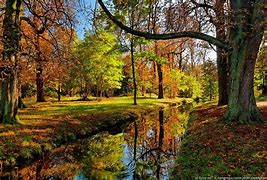 Image result for 6 iPhone Wallpaper Nature Plus