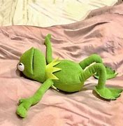 Image result for Perterbed Kermit Memes