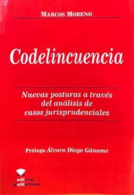 Image result for codelincuencia