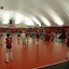Image result for Volleyball Coyurt