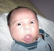 Image result for funniest baby face meme