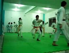 Image result for Shotokan