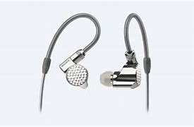 Image result for Sony IEM Z1R Custom Ear Impressions