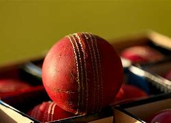 Image result for Cricket Ball Made Of