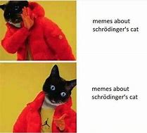 Image result for Schrodinger's Meme