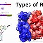 Image result for Messenger RNA