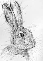 Image result for Scribble Animal