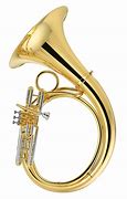 Image result for Marching Brass Instruments