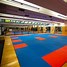 Image result for Badminton Ground