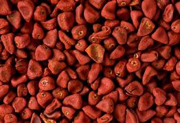 Image result for Different Types of Seeds for Cooking