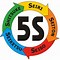 Image result for Los 5 S