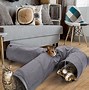 Image result for Wire Cube Cat Enclosure with Tunnel