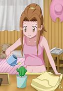 Image result for Mimi Tachikawa Digimon Adventure