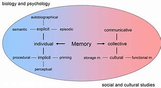 Image result for How Do Memories Work in the Brain