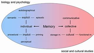 Image result for Types of Memory Psychology